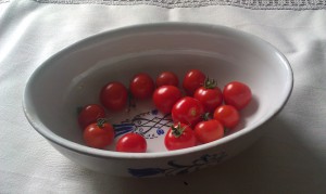 Äntligen egna tomater!