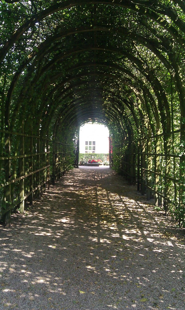 En av lövgångarna på Prinsenhof.